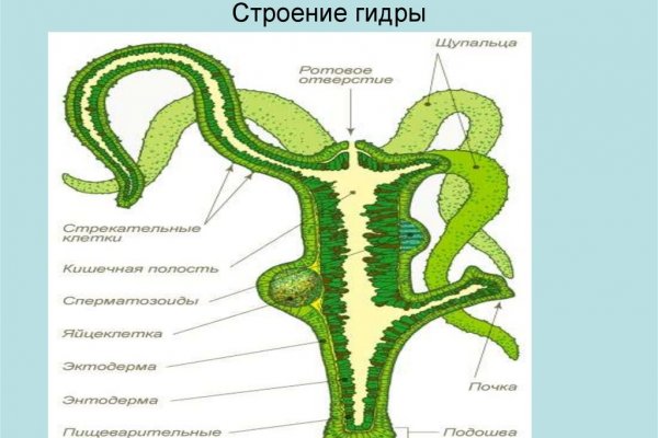 Kraken 15at сайт krakens15 at